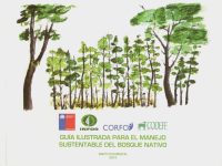 Guía ilustrada para el manejo sustentable del bosque nativo